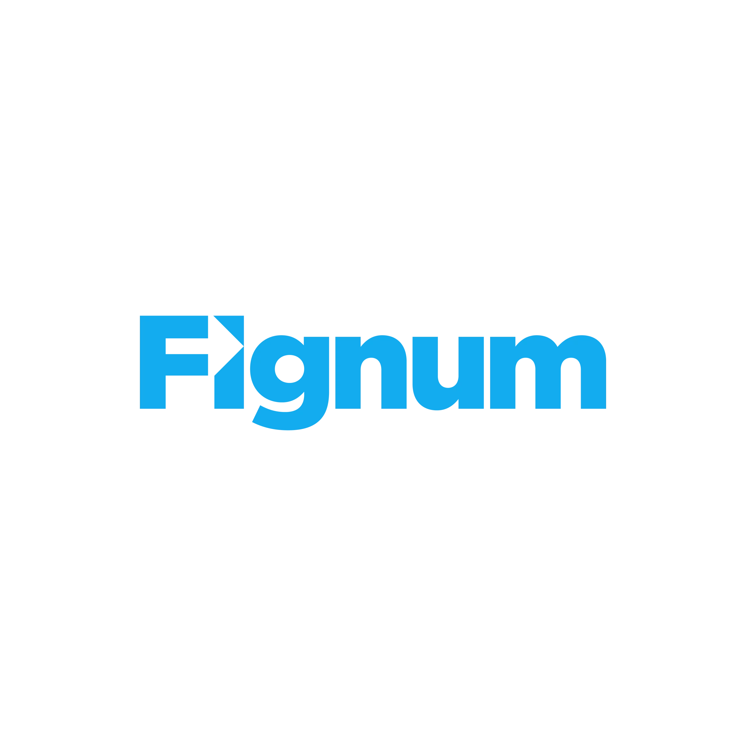 Fignum Brand Naming and Brand Identity by Peek Creative